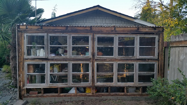 Greenhouse made of salvaged wood windows