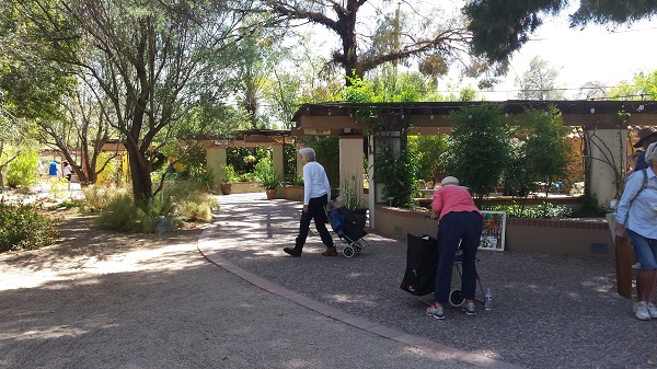 Plein air painters leane Tucson Botanic Garden..